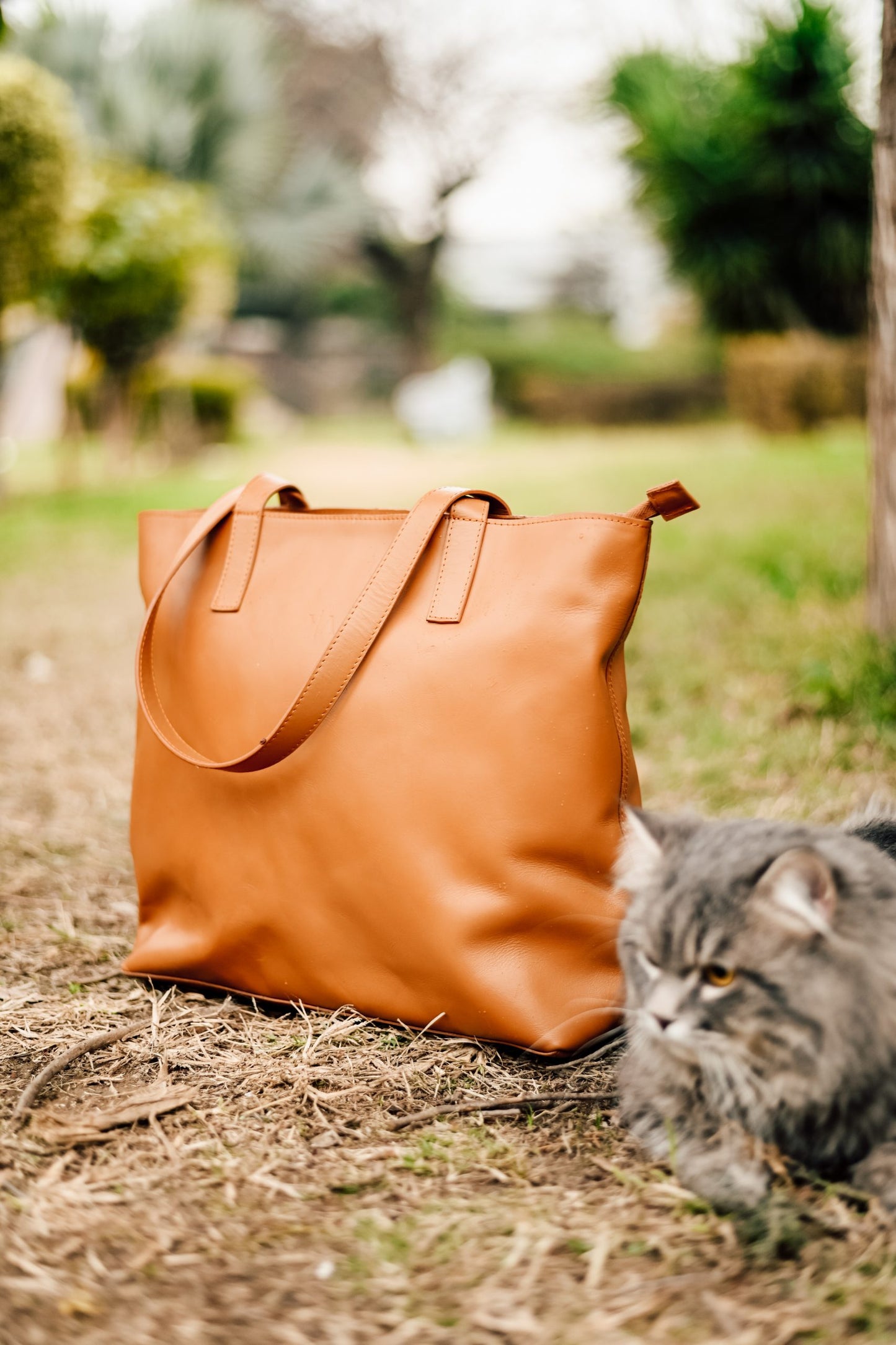 Zipper Leather Tote Tan